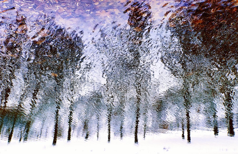 Photograph by Екатерина Коломыцева