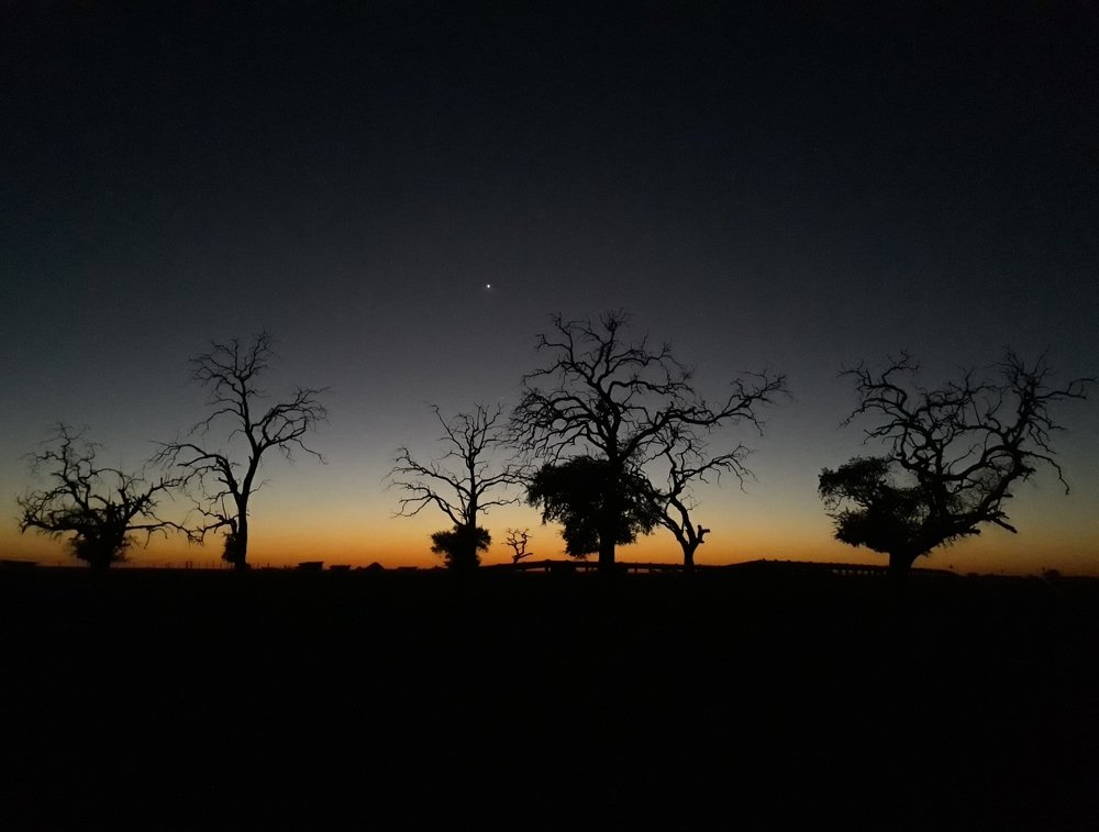 Mmadikola Sunrise.