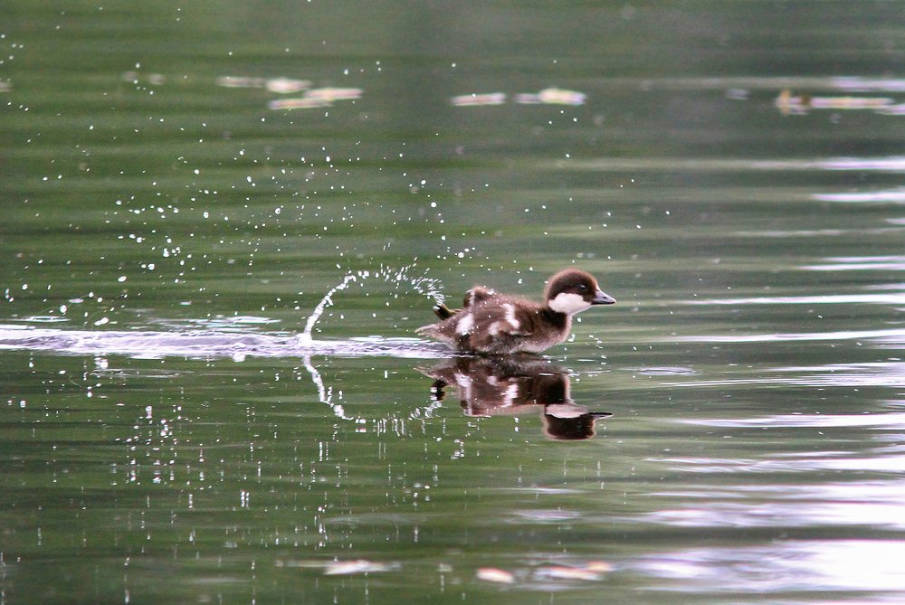 Фотография автора Михаил Крюков