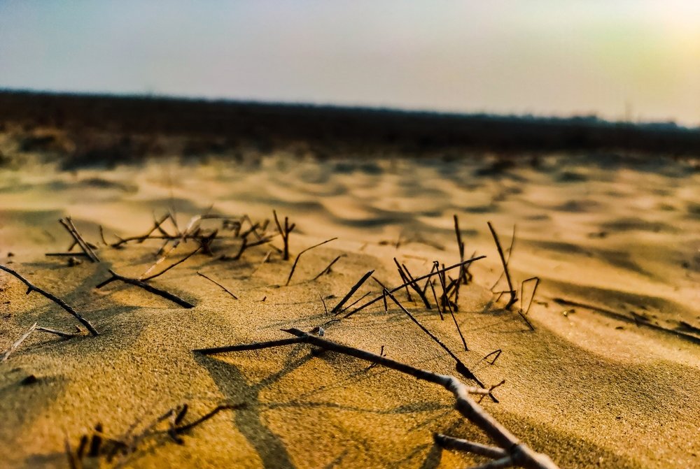 Photograph by Muhammad Rehman Rana