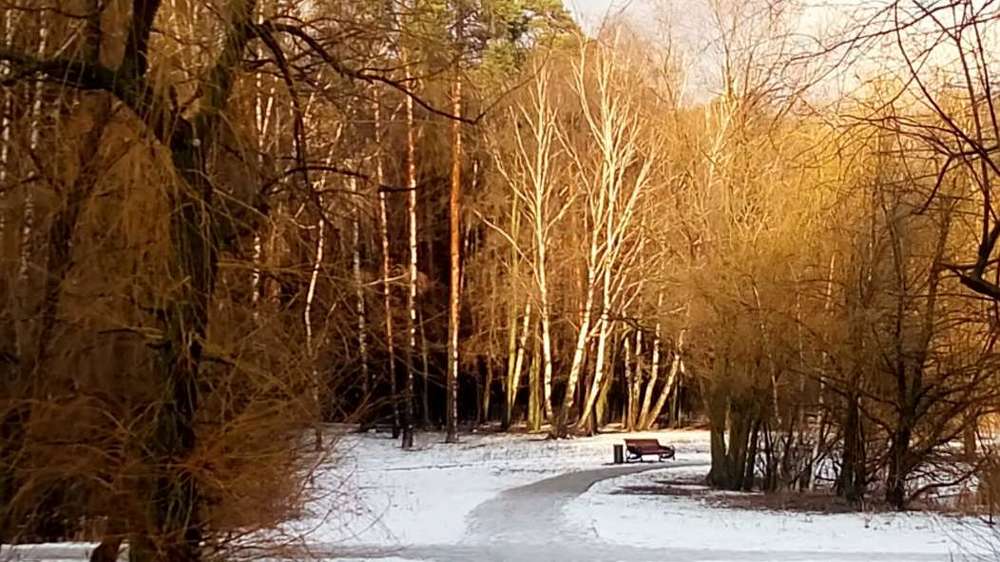 Photograph by Мария Навроцкая