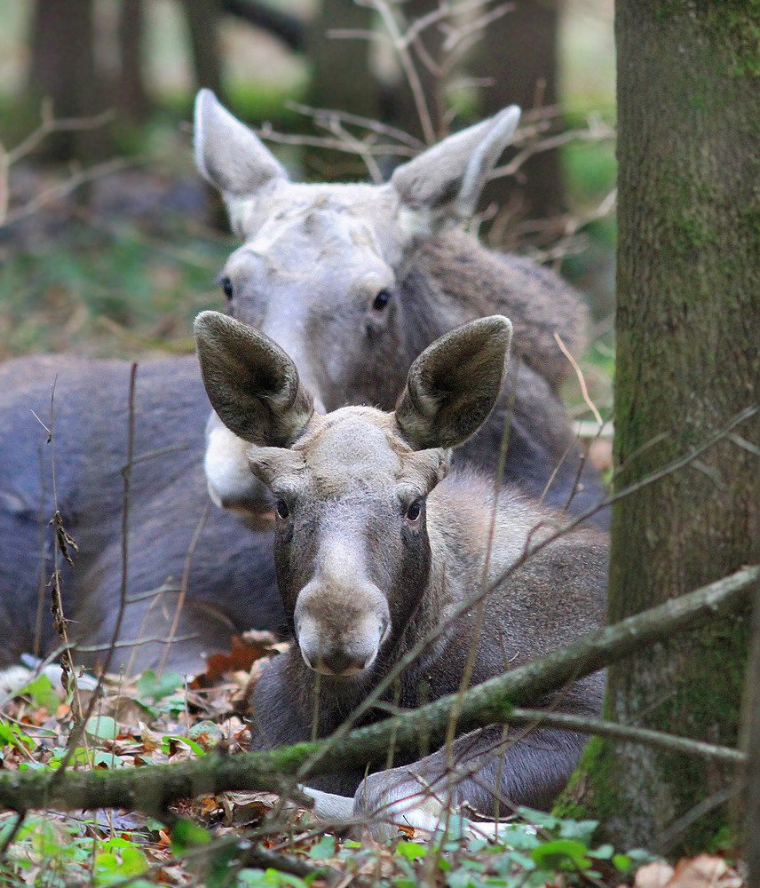 Фотография автора Михаил Крюков