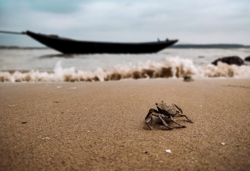 Photograph by Ritajit Chatterjee