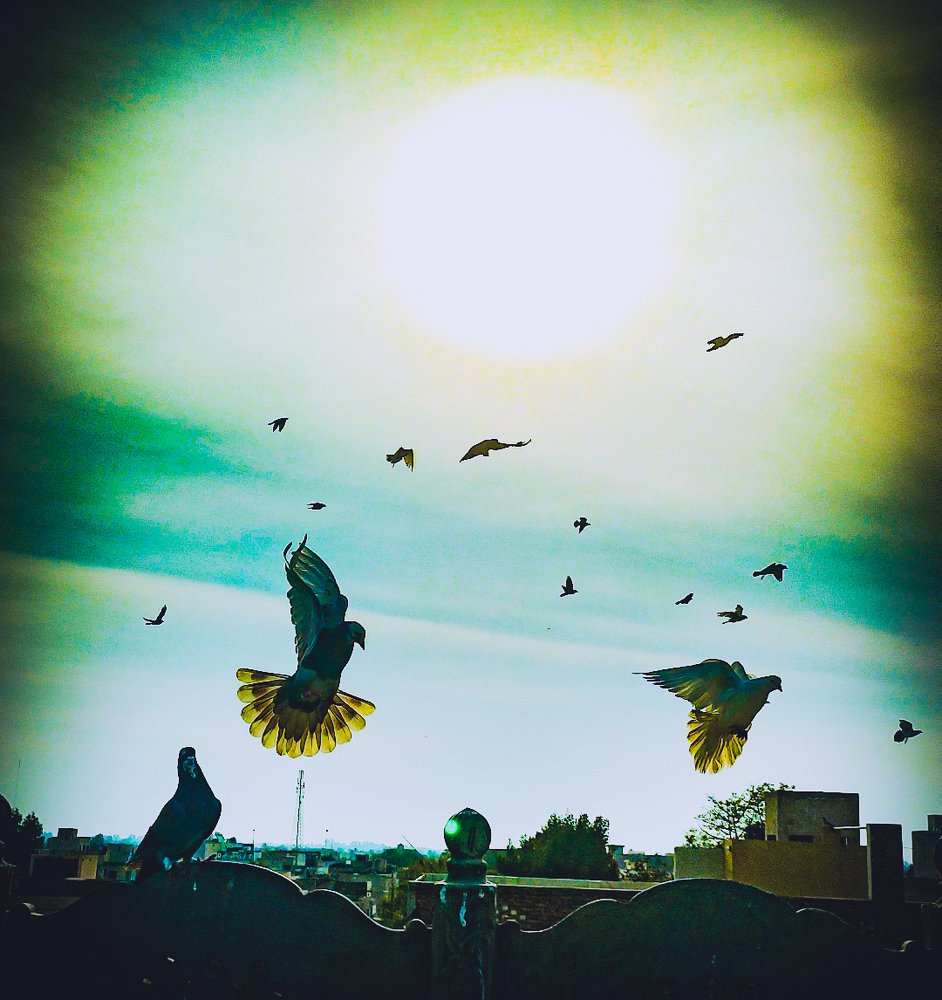 Photograph by Muhammad Rehman Rana