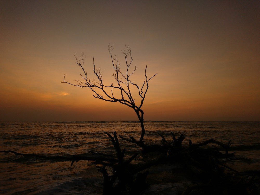 Photograph by Siriwardena Tharana