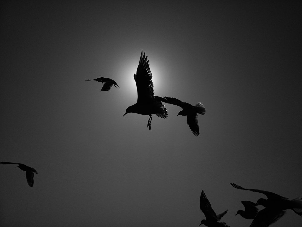 Photograph by Mukul Karn