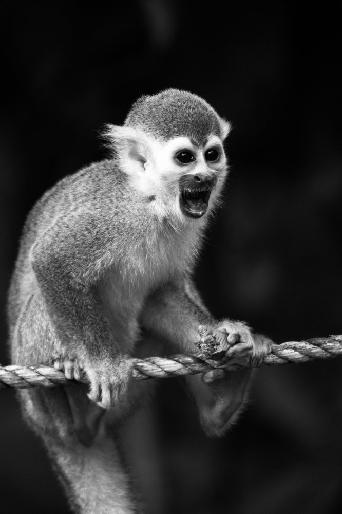 Photograph by Mario Alejandro Castañeda