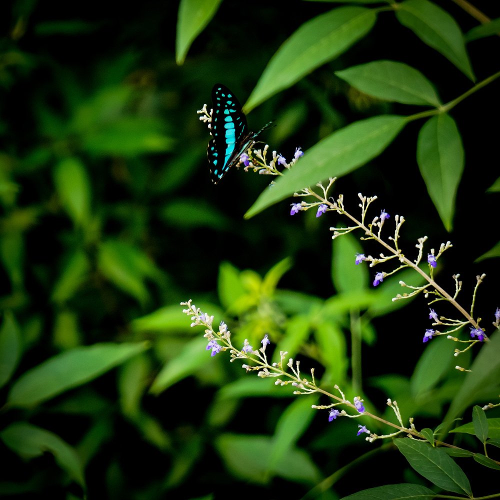Photograph by Ritajit Chatterjee
