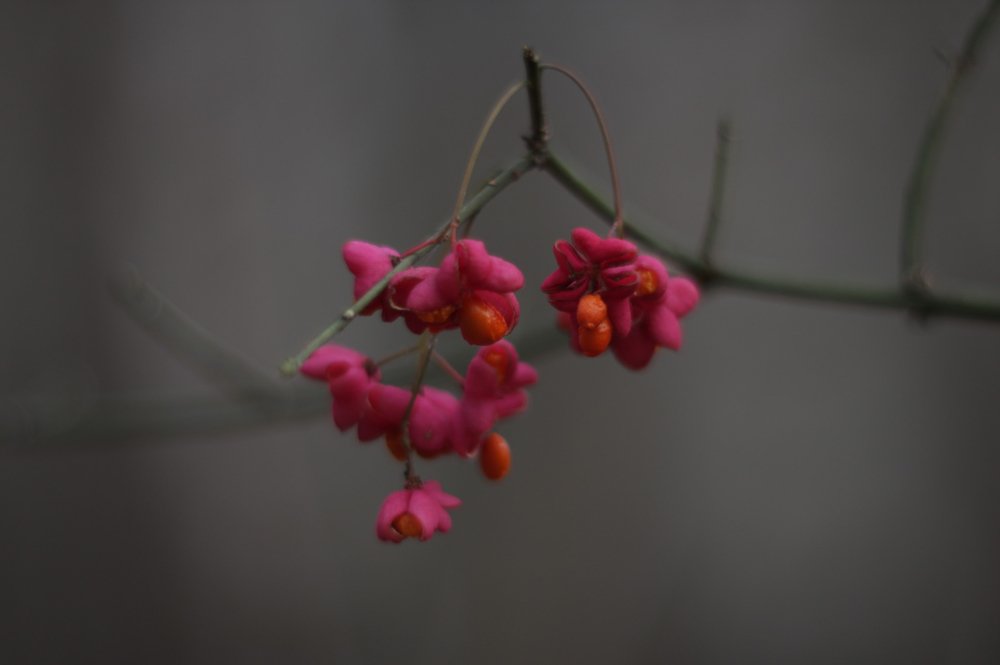 Photograph by Светлана Сергеева