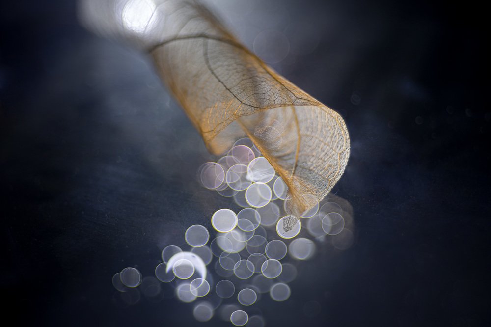 Рог изобилия