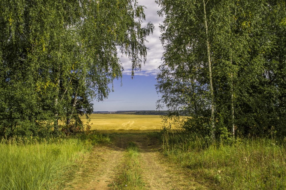 Зелёные ворота.