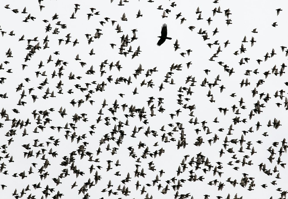 Photograph by Наталья