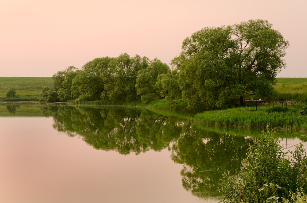 Photograph by Александр