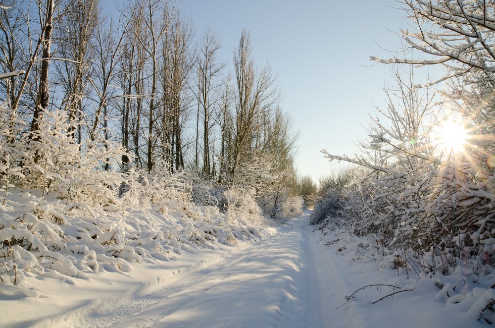 Photograph by Александр