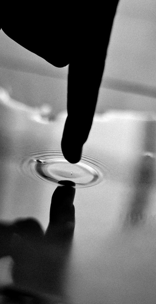 Photograph by Brizy Kim