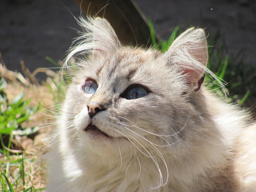 Photograph by Юлия