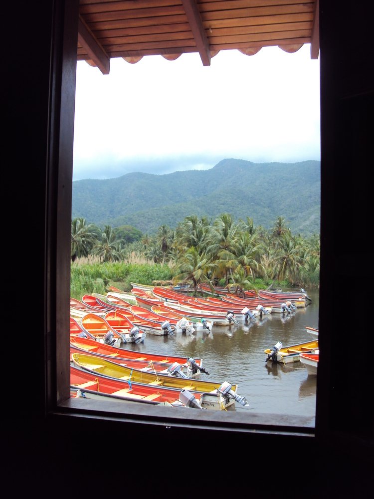 Photo #4382330