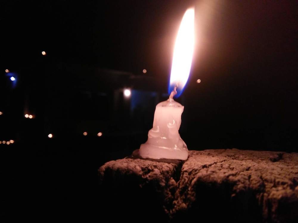 Photo #4382495