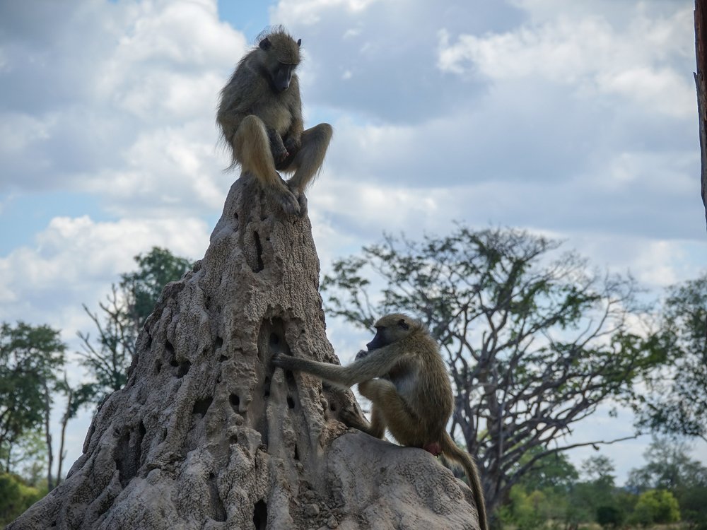 Photograph by Moses Mtonga