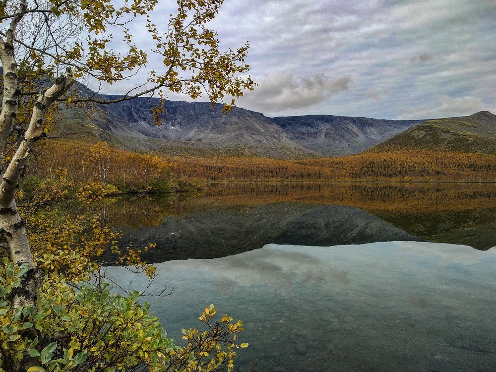 Photograph by Елена Боржковская