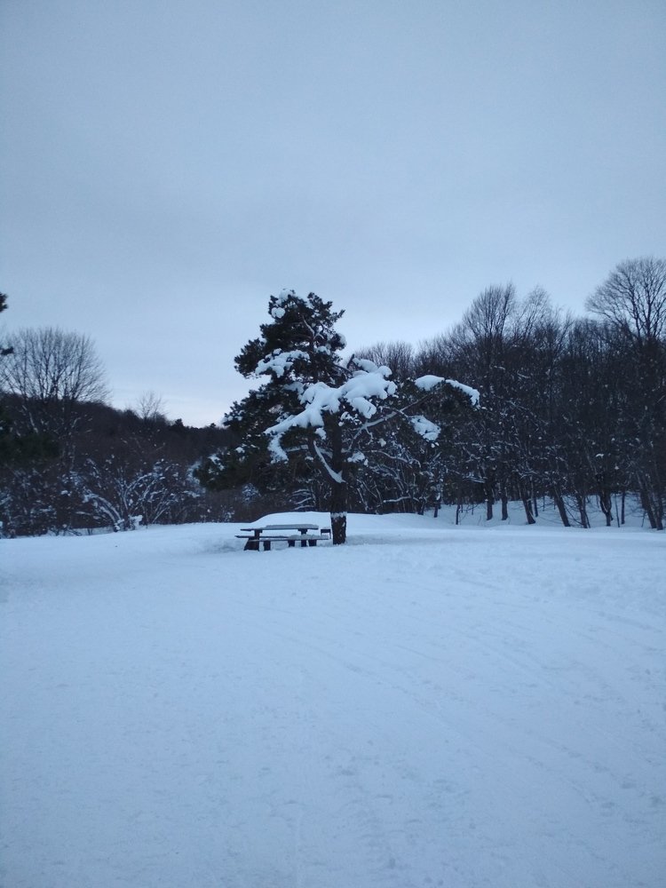 Снег. Тишина.