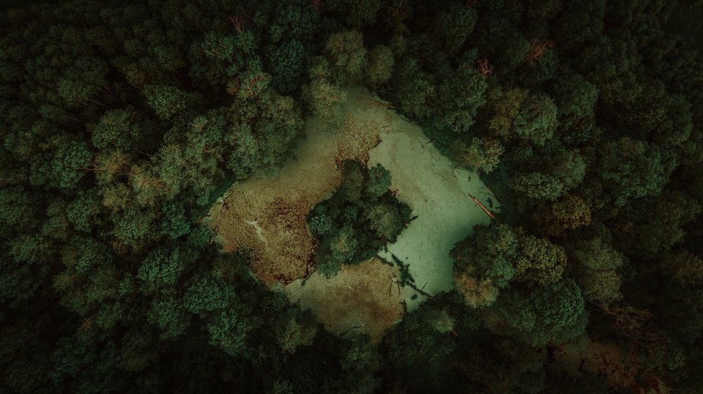 Photograph by Егор Хмелевский