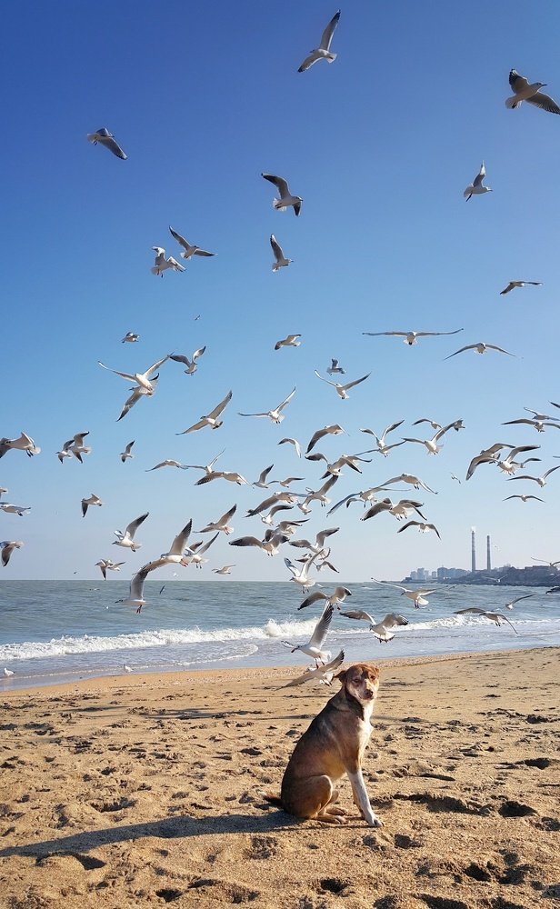 Photo #4382558