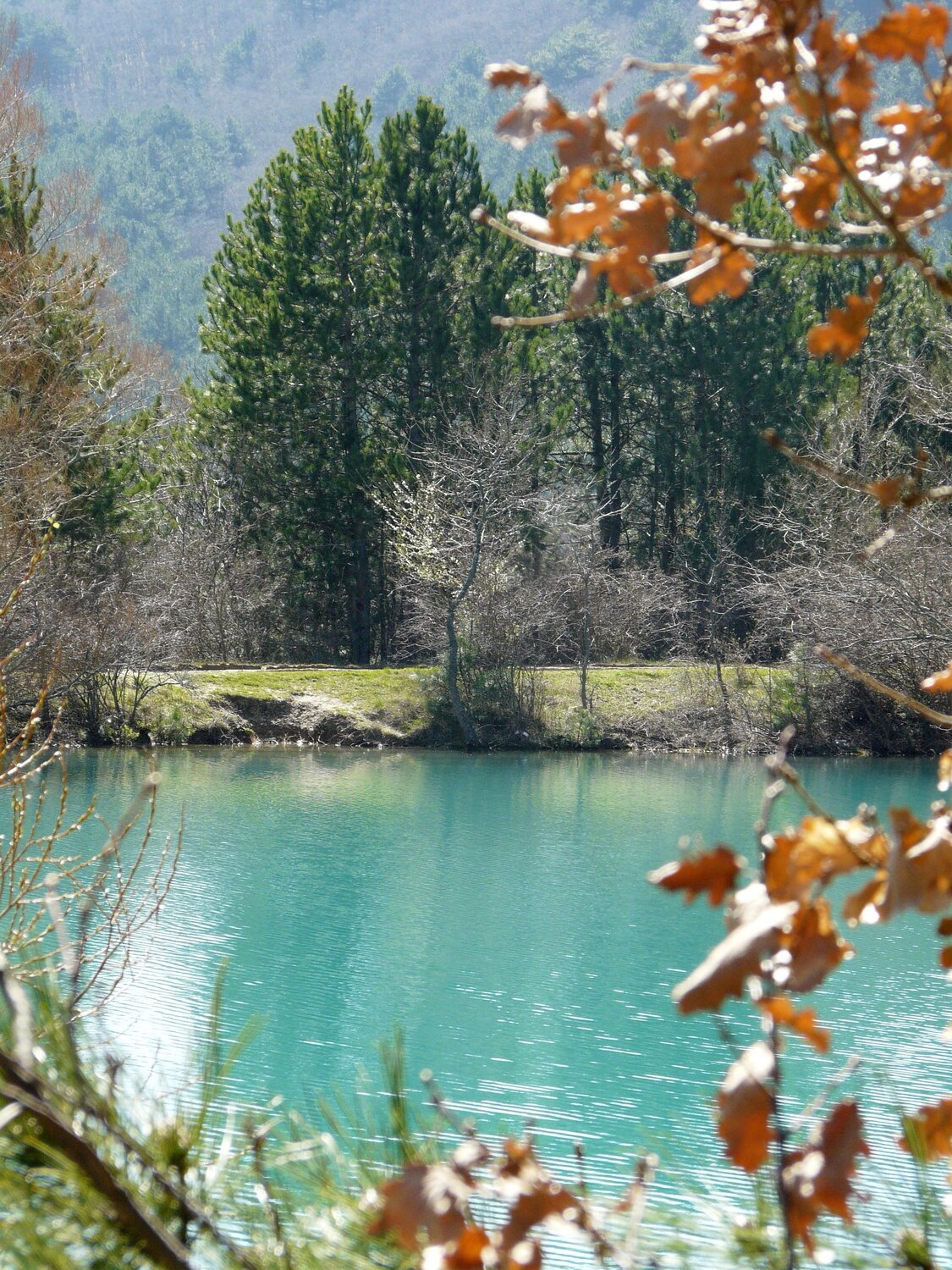 Photo #4382593