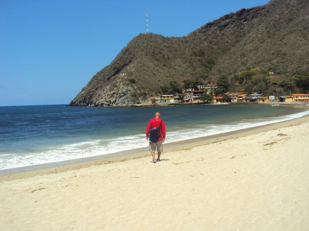 Photo #4382619