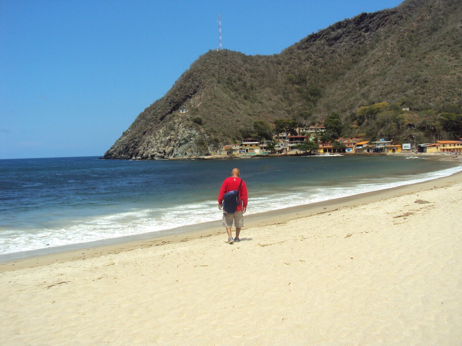 Photo #4382619