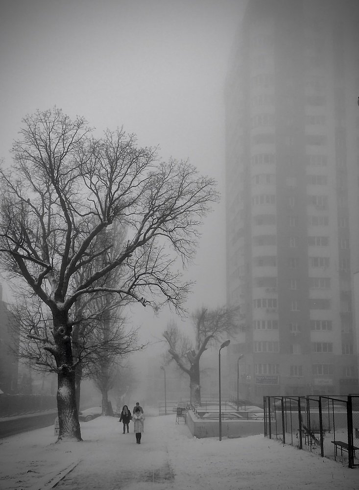 The fog. Туман.