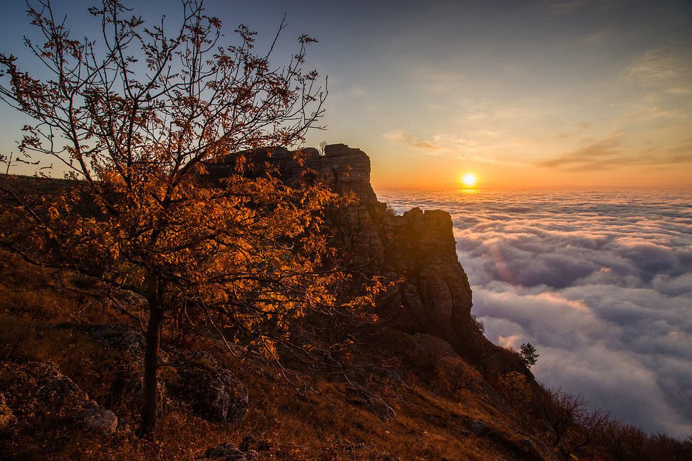 Photograph by Елена Покрепа