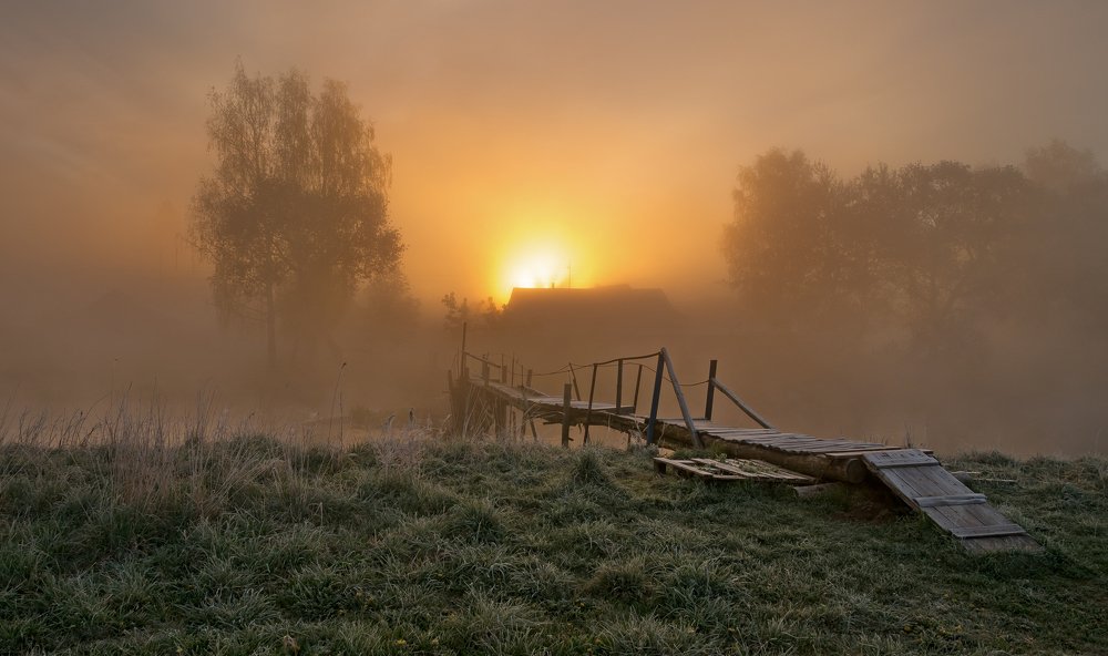 Photograph by Александр Гвоздь