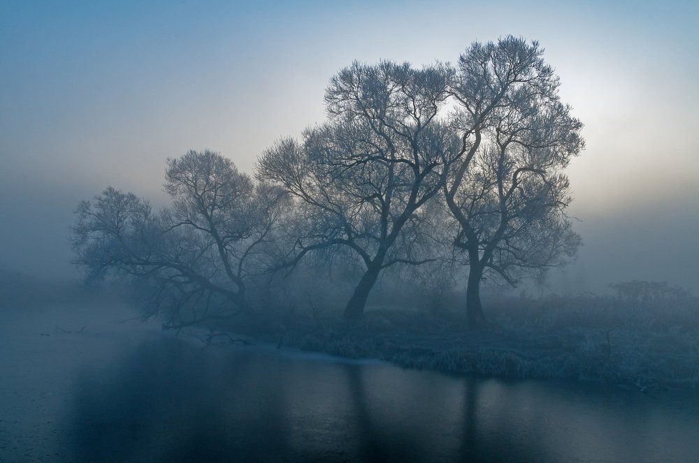 Photograph by Александр Гвоздь