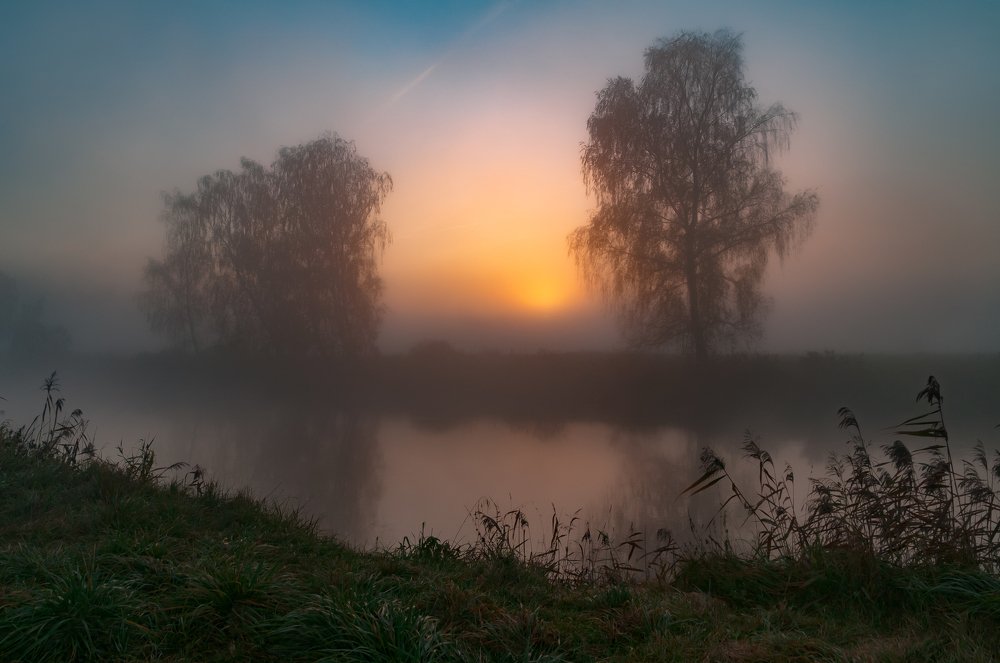 Photograph by Александр Гвоздь