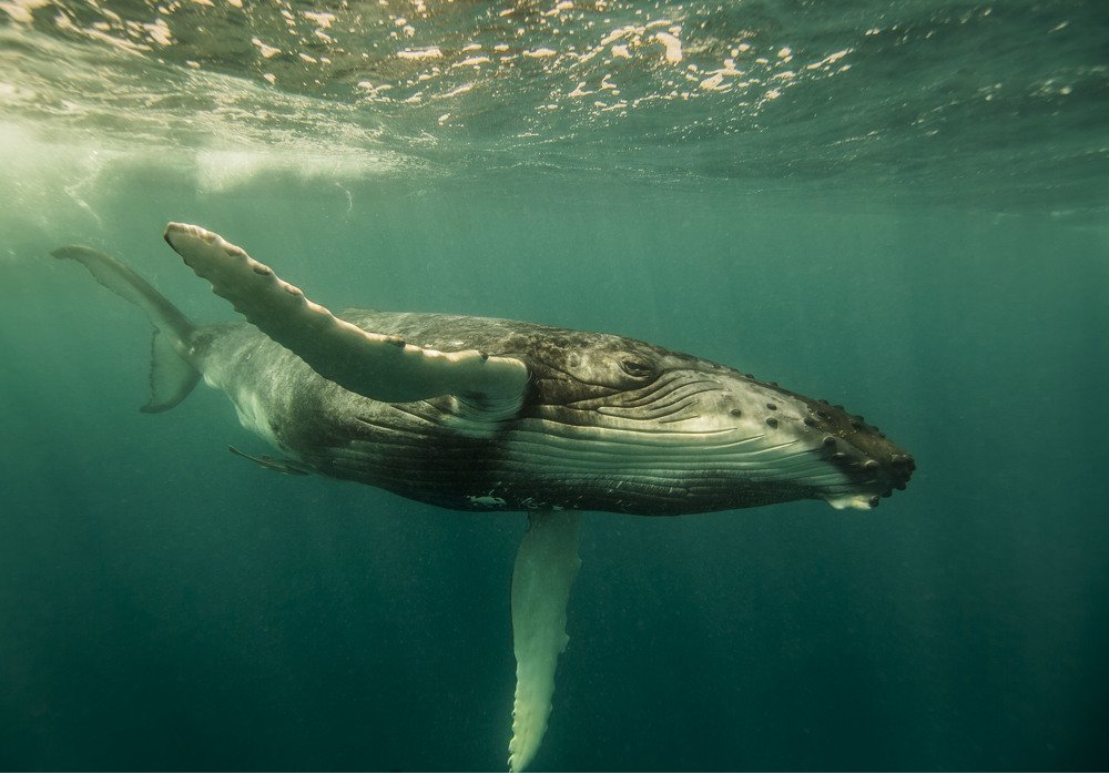 Photograph by Александр Лаухин