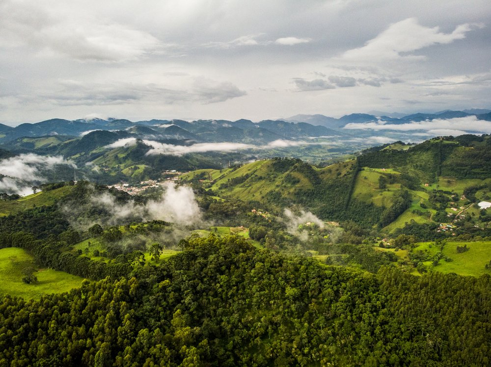 Фотография автора david xavier de carvalho