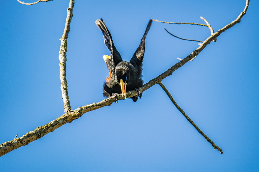 Photograph by Miguel Antonio Sevilla Flor