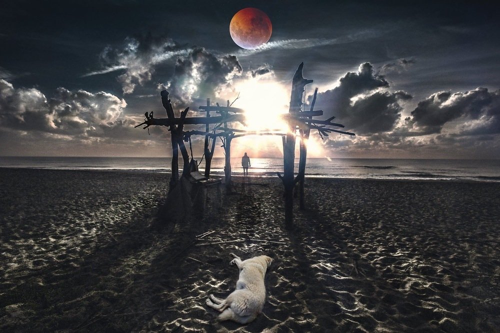 Photograph by Yurii Ryazanov