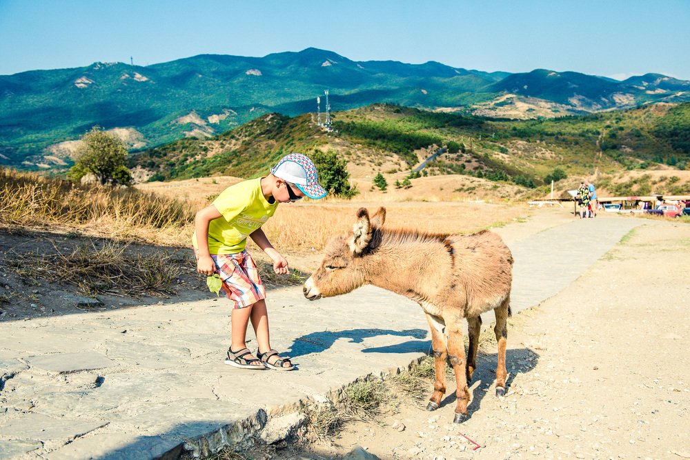 Встреча друзей