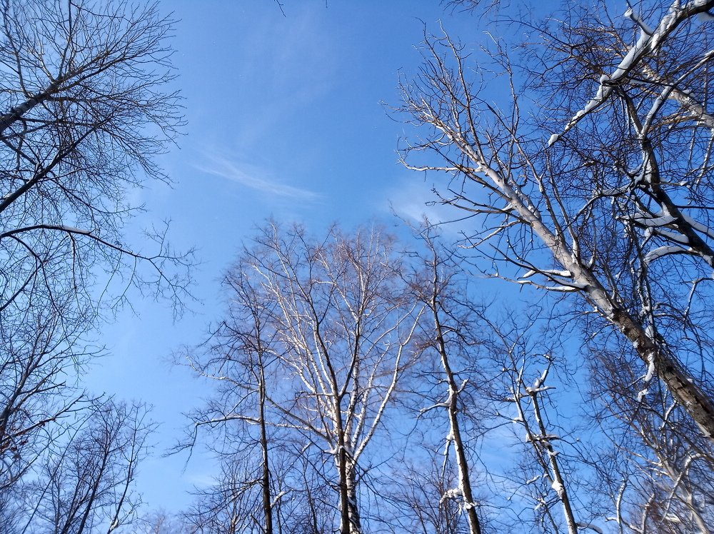 Photograph by Лариса Капустина