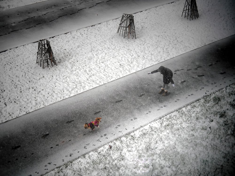 Photograph by Сергей Забиякин