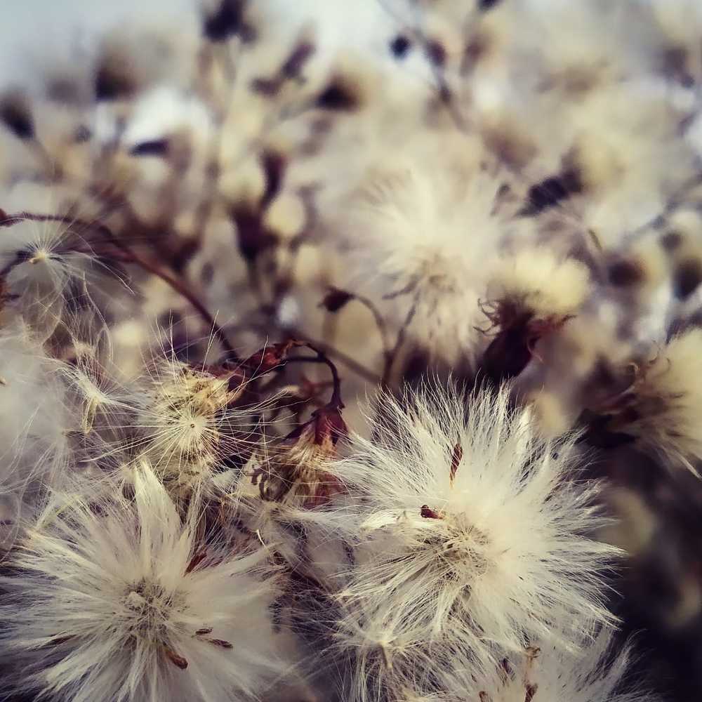 Photograph by Ольга Габукова