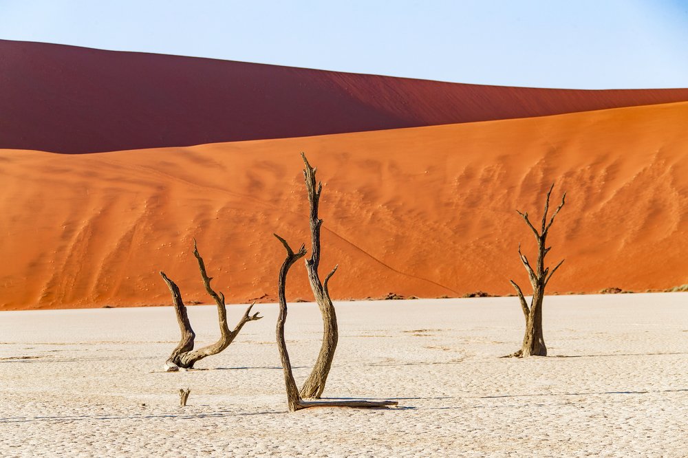 Photograph by Александр Лаухин