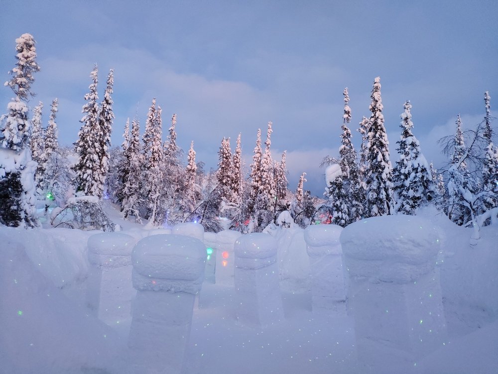 Photograph by 