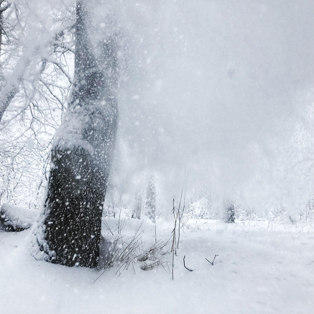 Фотография автора senjor