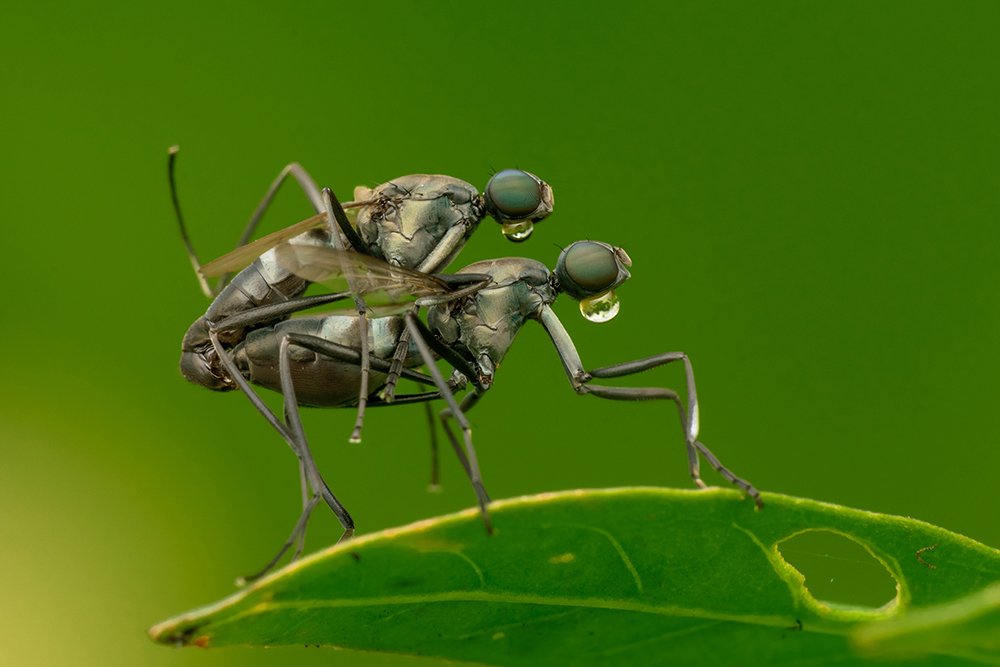 Photograph by Ranjit Mahara