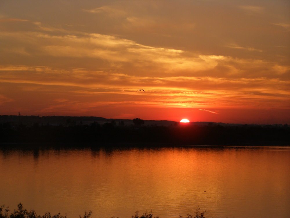 Photograph by Ирина Вассерлауф