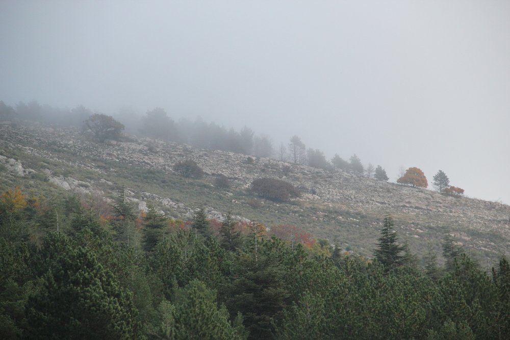 Photograph by Людмила Панченко