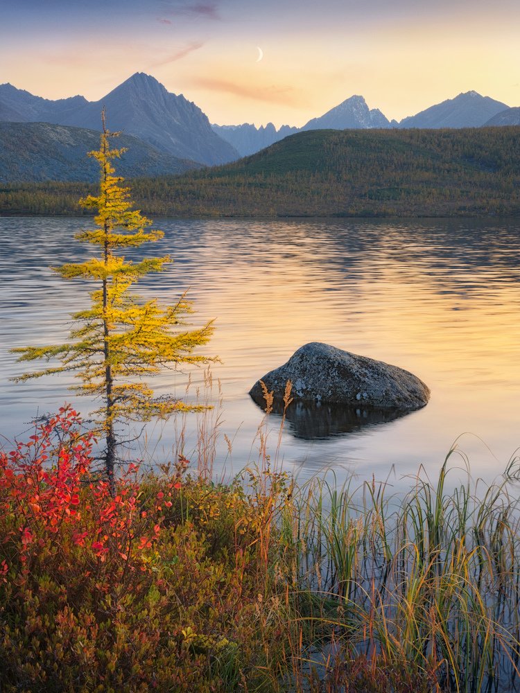 Фотография автора Дмитрий Медянцев